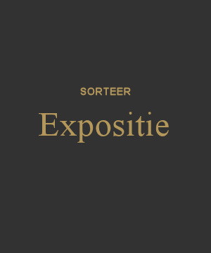 Bekijk het expositie overzicht met tentoonstellingsdata van kunstenaars bij galerie Wildevuur