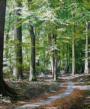 Schilderijen van de kunstschilder Wout Wachtmeester bekijken en kopen bij galerie Wildevuur