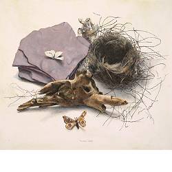 Overgebleven | stilleven schilderij in acrylverf van Chris Herenius koopt u nu online! ✓Hoogste kwaliteit ✓Veilig betalen ✓Gratis verzending