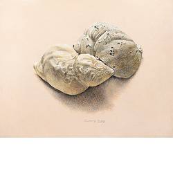 Souvenir II | stilleven schilderij in acrylverf van Chris Herenius koopt u nu online! ✓Hoogste kwaliteit & service ✓Veilig betalen ✓Gratis verzending