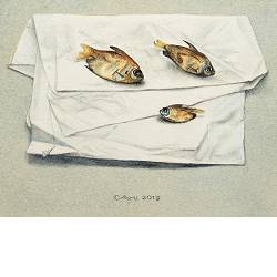 Drie visjes | stilleven schilderij in aquarel van Chris Herenius koopt u nu online! ✓Hoogste kwaliteit & service ✓Veilig betalen ✓Gratis verzending