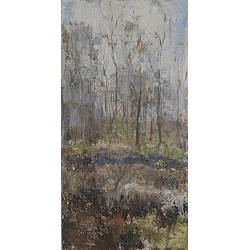 Bos bij Jacobspad I | landschap schilderij van Flip Gaasendam koopt u nu online! ✓Hoogste kwaliteit ✓Veilig betalen ✓Gratis verzending