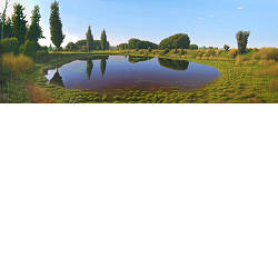 De Poel | landschap schilderij in olieverf van Hans Parlevliet koopt u nu online! ✓Hoogste kwaliteit & service ✓Veilig betalen ✓Gratis verzending