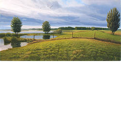 Ruimte voor water | landschap schilderij in olieverf van Hans Parlevliet koopt u nu online! ✓Hoogste kwaliteit ✓Veilig betalen ✓Gratis verzending