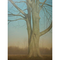 Boom | schilderij van een landschap in olieverf van Johan Abeling koopt u nu online! ✓Hoogste kwaliteit ✓Veilig betalen ✓Gratis verzending