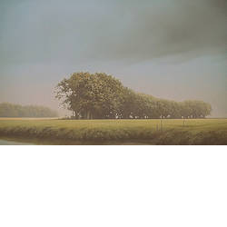 Westerwolde | schilderij van een landschap in olieverf van Johan Abeling koopt u nu online! ✓Hoogste kwaliteit ✓Veilig betalen ✓Gratis verzending