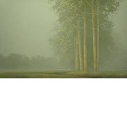 Ochtendmist | schilderij van een landschap in acrylverf van Johan Abeling koopt u nu online! ✓Veilig betalen ✓Gratis verzending