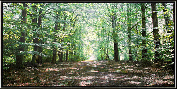 De Essentie van Verbinding