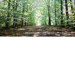 De Essentie van Verbinding | landschap schilderij van Wout Wachtmeester koopt u nu online! ✓Hoogste kwaliteit ✓Veilig betalen ✓Gratis verzending