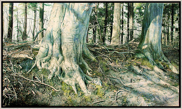 Verhulde Herinnering