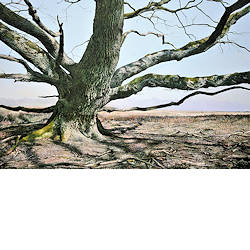 De Wachter | landschap schilderij van Wout Wachtmeester koopt u nu online! ✓Hoogste kwaliteit & service ✓Veilig betalen ✓Gratis verzending